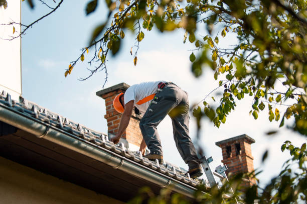 Fast & Reliable Emergency Roof Repairs in Lexington, MO