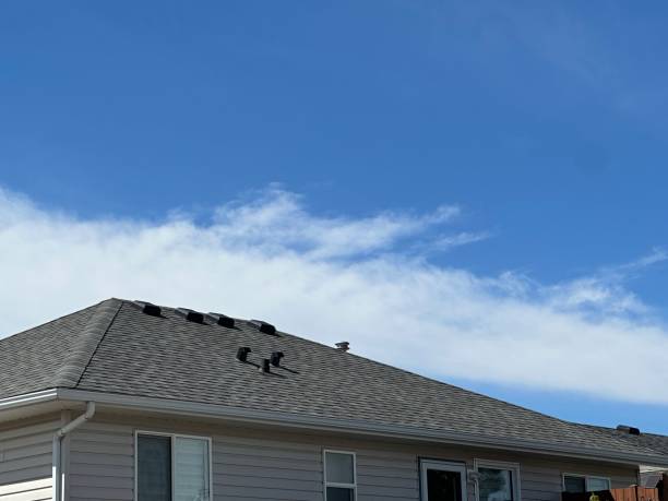 Best Roof Ventilation Installation  in Lexington, MO